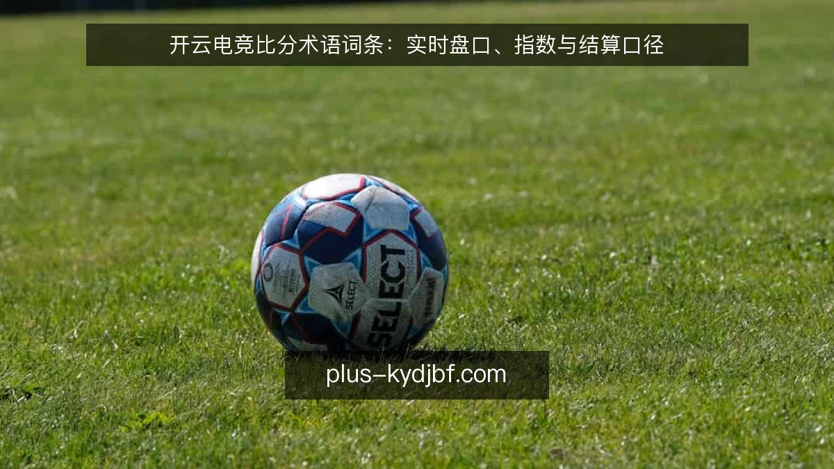 开云电竞比分术语词条:实时盘口、指数与结算口径
